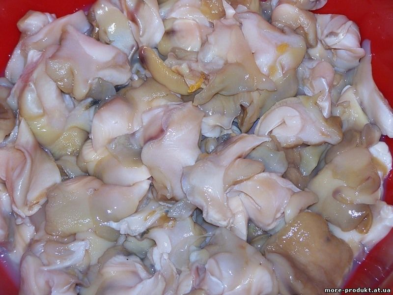 Рапаны, Мясо рапана, Продаю мясо рапана, Куплю мясо рапана