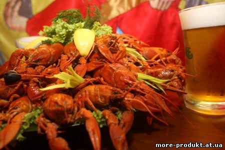 Раки, Живые раки, Продаю живые раки, Куплю живые раки, Рецепты блюд из раков