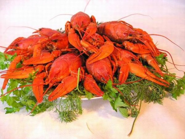 Раки, Живые раки, Продаю живые раки, Куплю живые раки, Рецепты блюд из раков, Питательная ценность раков