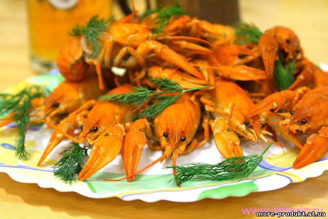 Раки, Живые раки, Продаю живые раки, Куплю живые раки, Рецепты блюд из раков